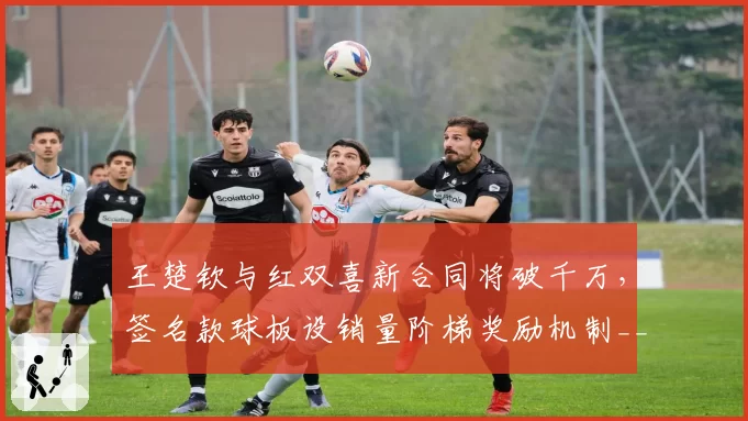 王楚钦与红双喜新合同将破千万，签名款球板设销量阶梯奖励机制__br_