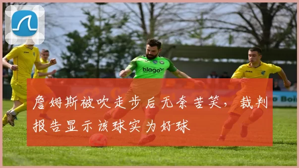 詹姆斯被吹走步后无奈苦笑,裁判报告显示该球实为好球