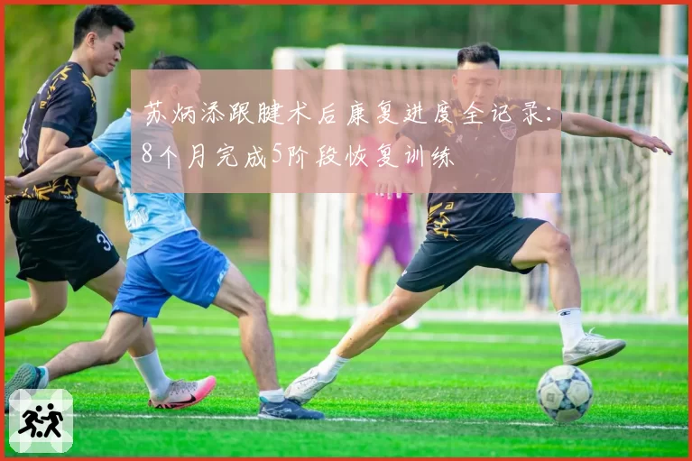 苏炳添跟腱术后康复进度全记录：8个月完成5阶段恢复训练