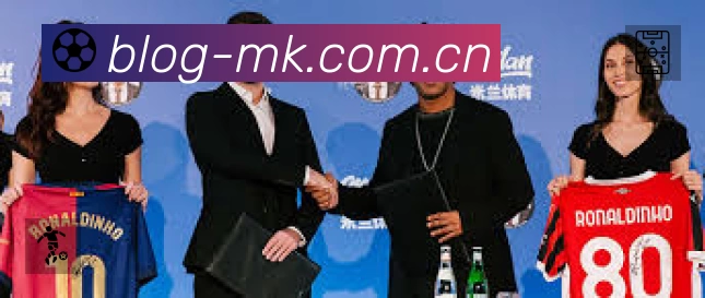 全球访问热力分布图